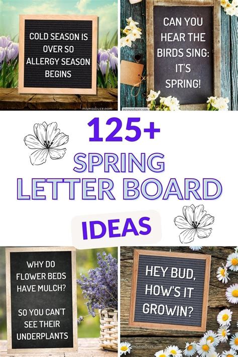 funny spring letter board ideas|More.